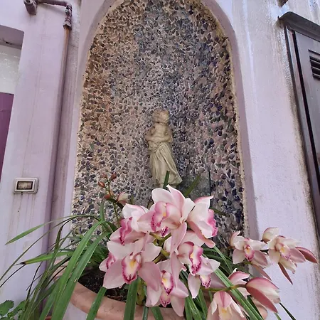 Bed & Breakfast L'orchidea Amalfi Coast