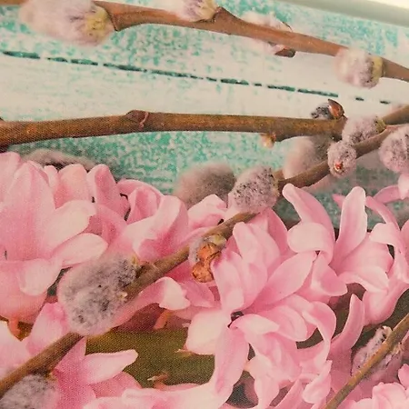 L'orchidea Amalfi Coast