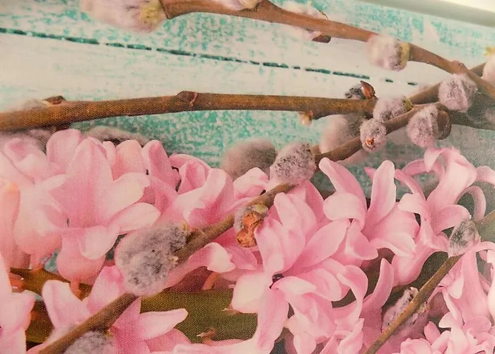 L'orchidea Amalfi Coast